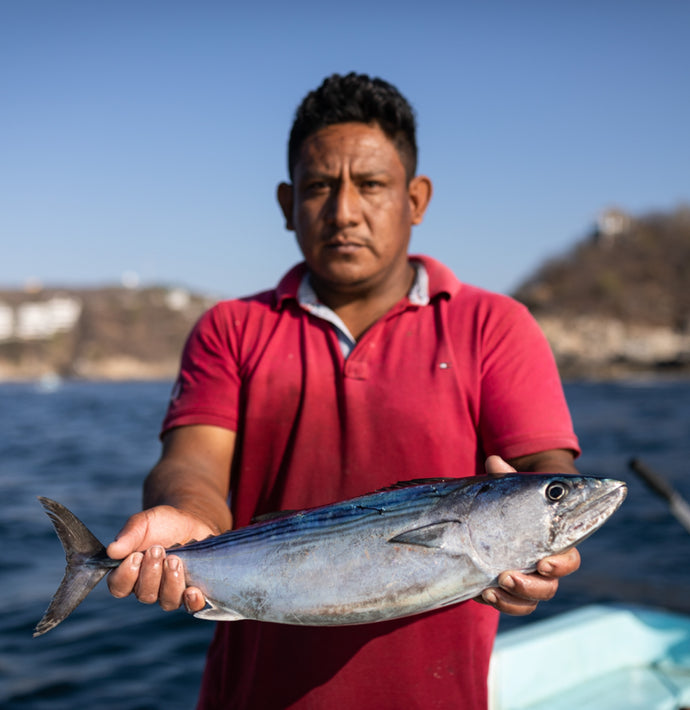 “SmartFish forja un nuevo modelo de negocios en México al combinar una empresa comercial con una ONG”
