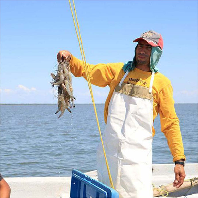 La trazabilidad: Un requisito para exportar producto pesquero